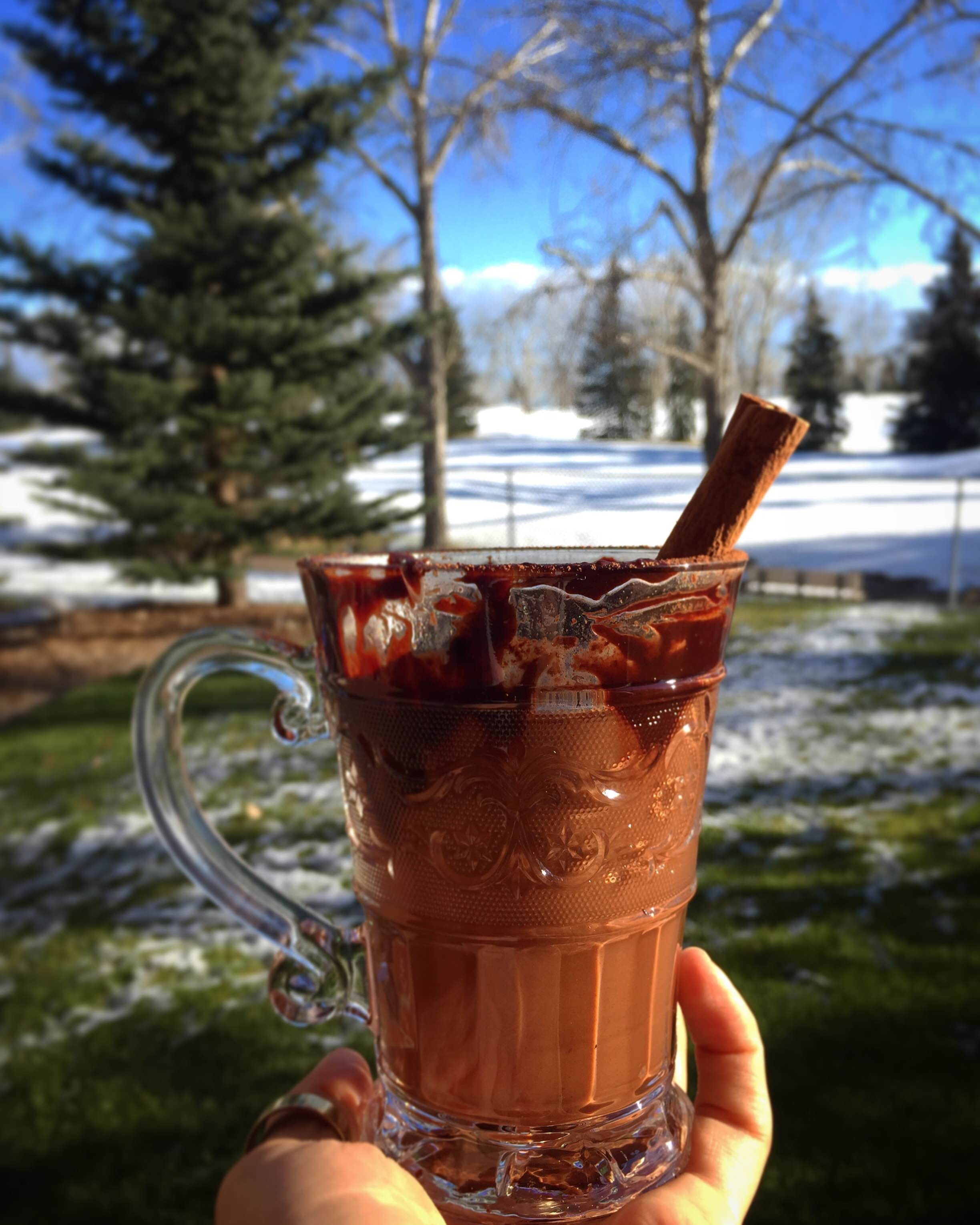 Cinnamon Spice Hot Coco with Cacao & Pumpkin FoodByMaria