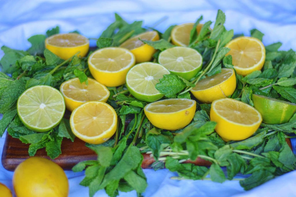 lemonade4
