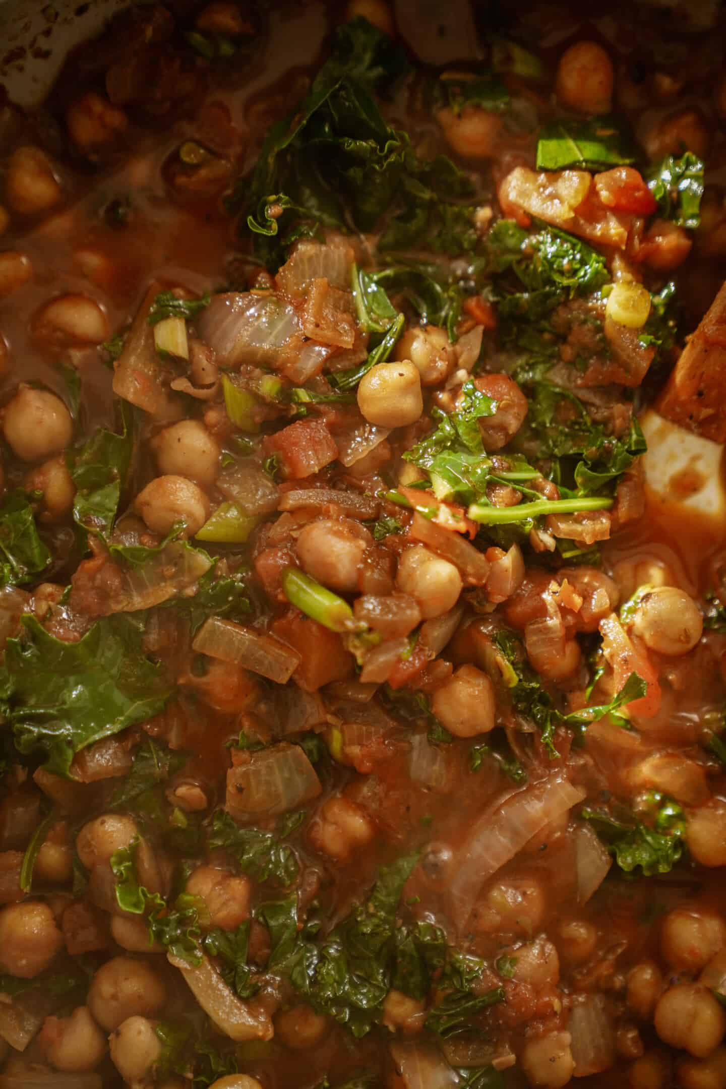 Close up of chickpea pasta