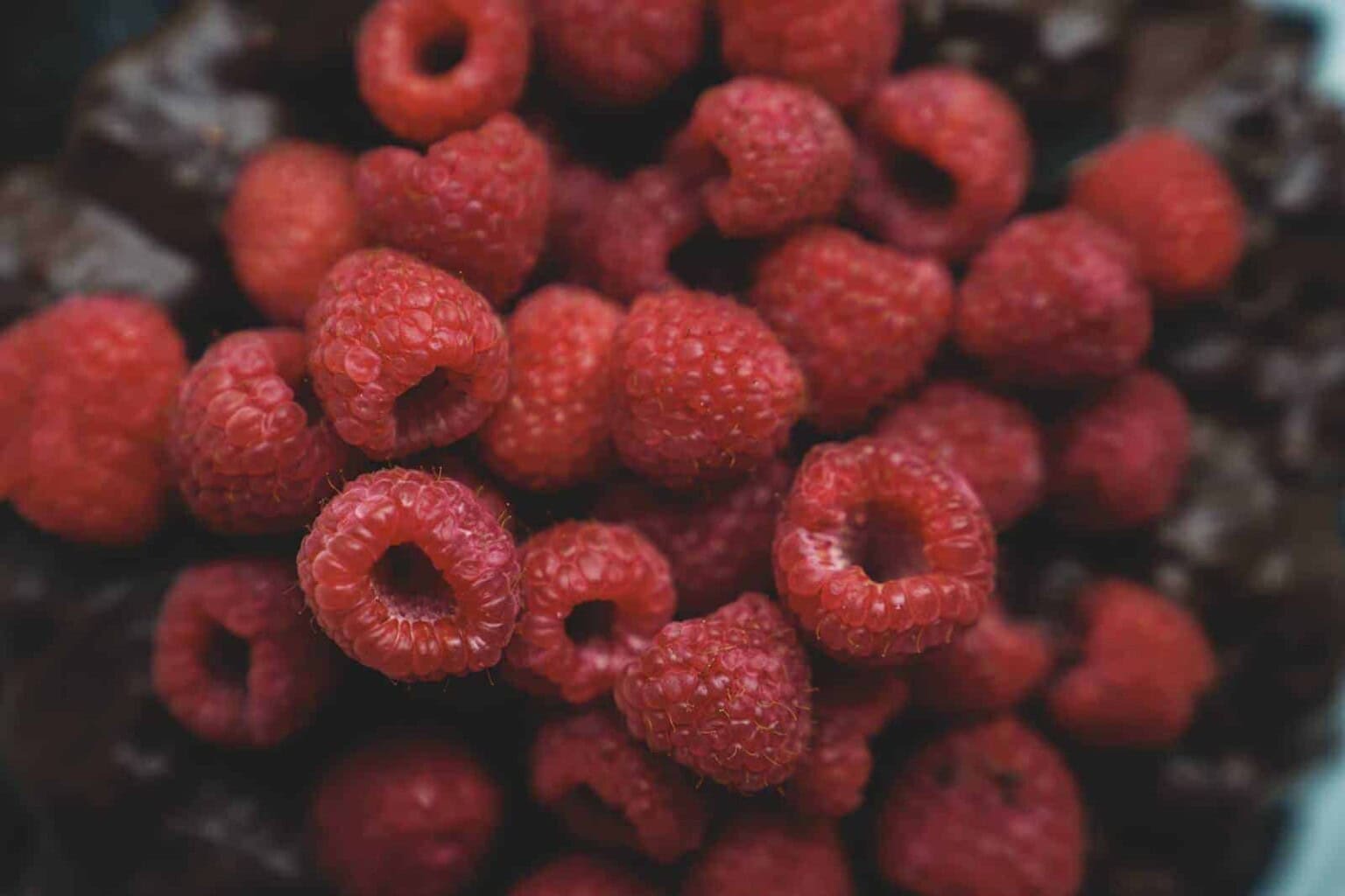 This chocolate brownie olive oil bundt cake is pure decadence and the perfect vegan indulgence thanks to the Ancient Foods Keros Olive Oil I used.