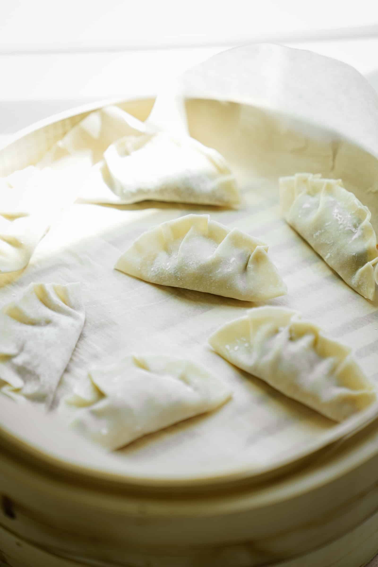 Constructed potstickers ready to be cooked