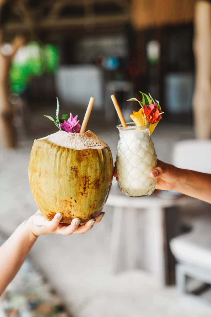 A travel guide with my vegan friends in mind as well as a taro root salad recipe inspired by a beautiful Tahitian woman spreading a plant-based philosophy.