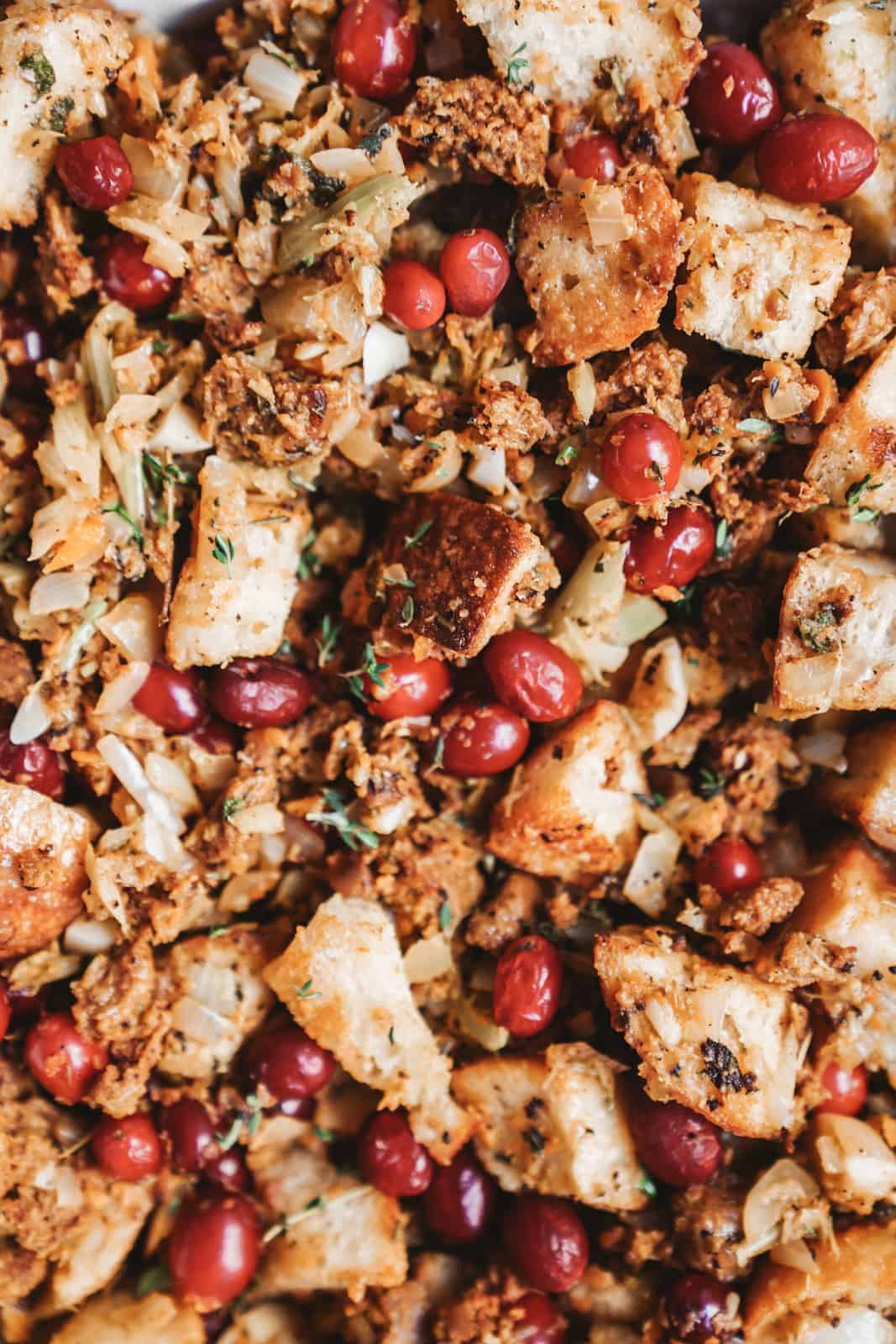 Close-up of vegan stuffing with fresh pops of colours from the cranberries.