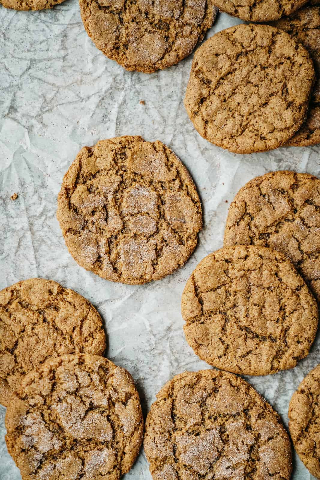 Sunbutter cookies made with sunflower seed butter scattered on counter.