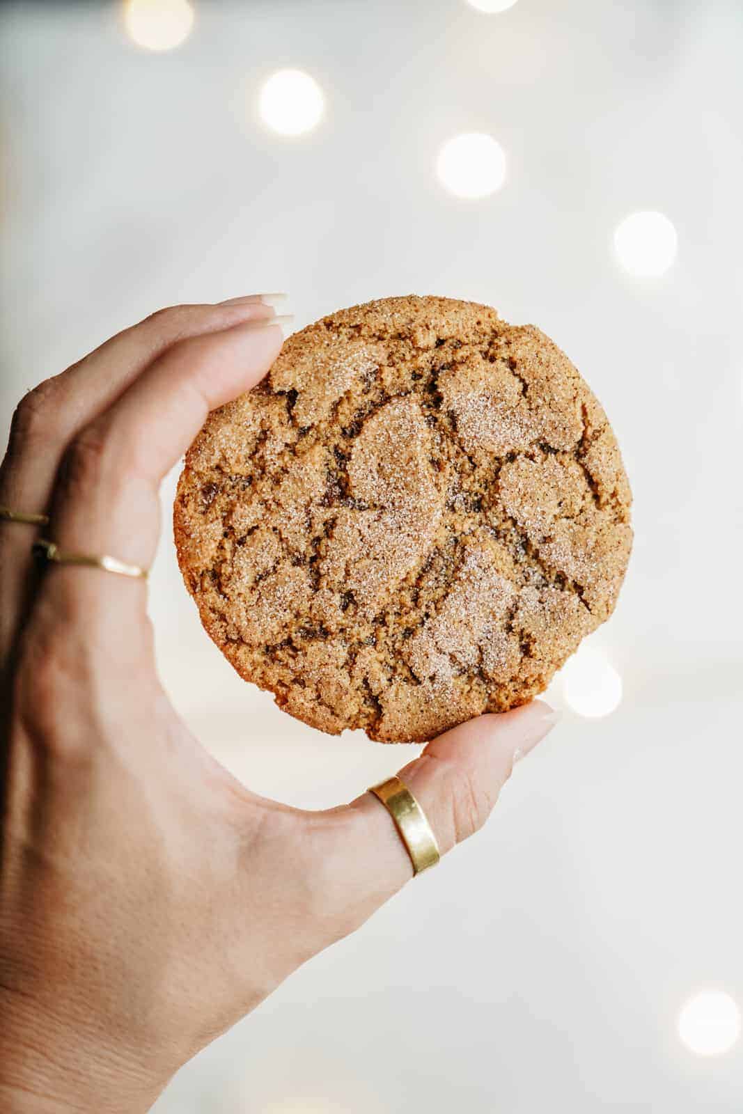 Close-up of hand holding cinnamon with fairy lights in back to showcase the use of light in food photography