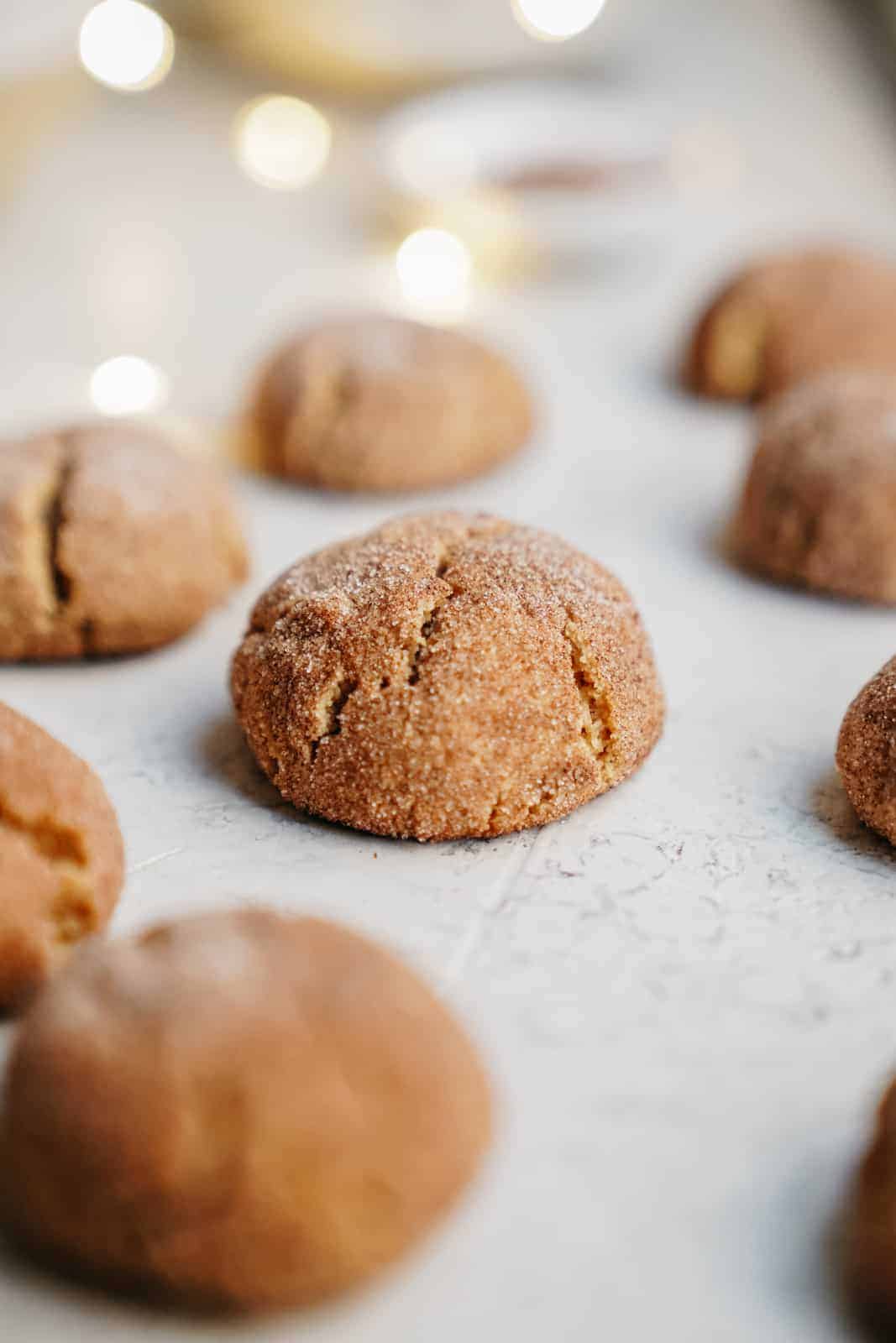 Close-up for Vegan Sugar Cookies.