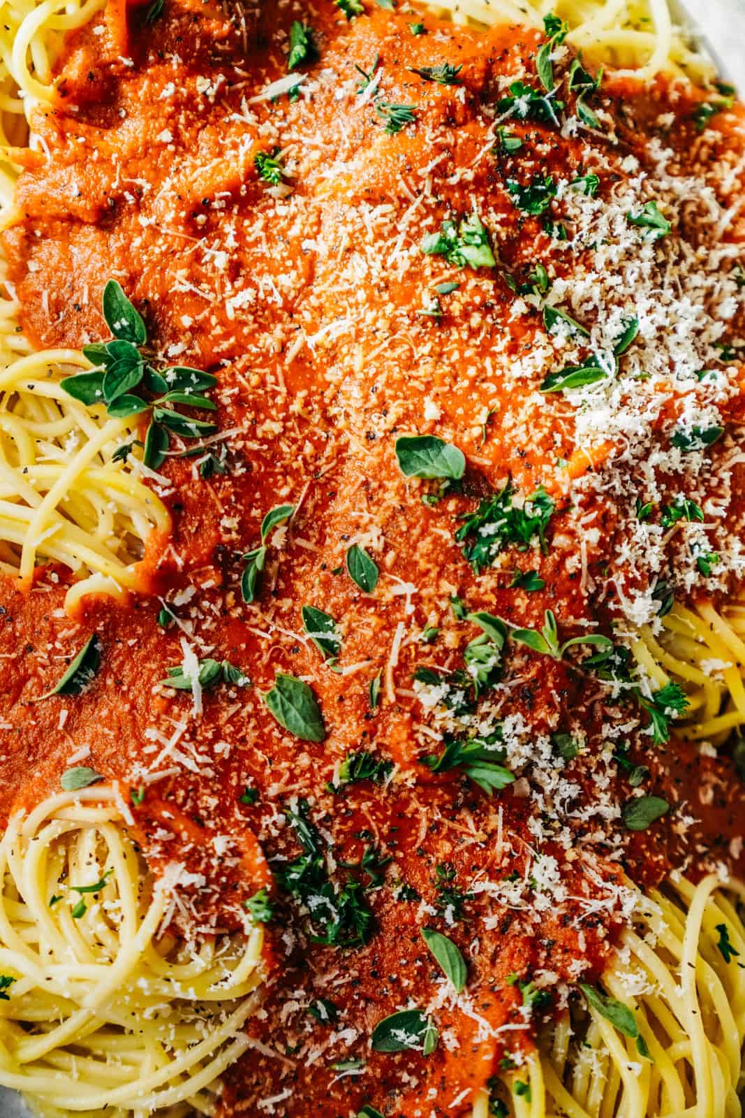 Close-up of Vegan Pasta Sauce on spaghetti noodles