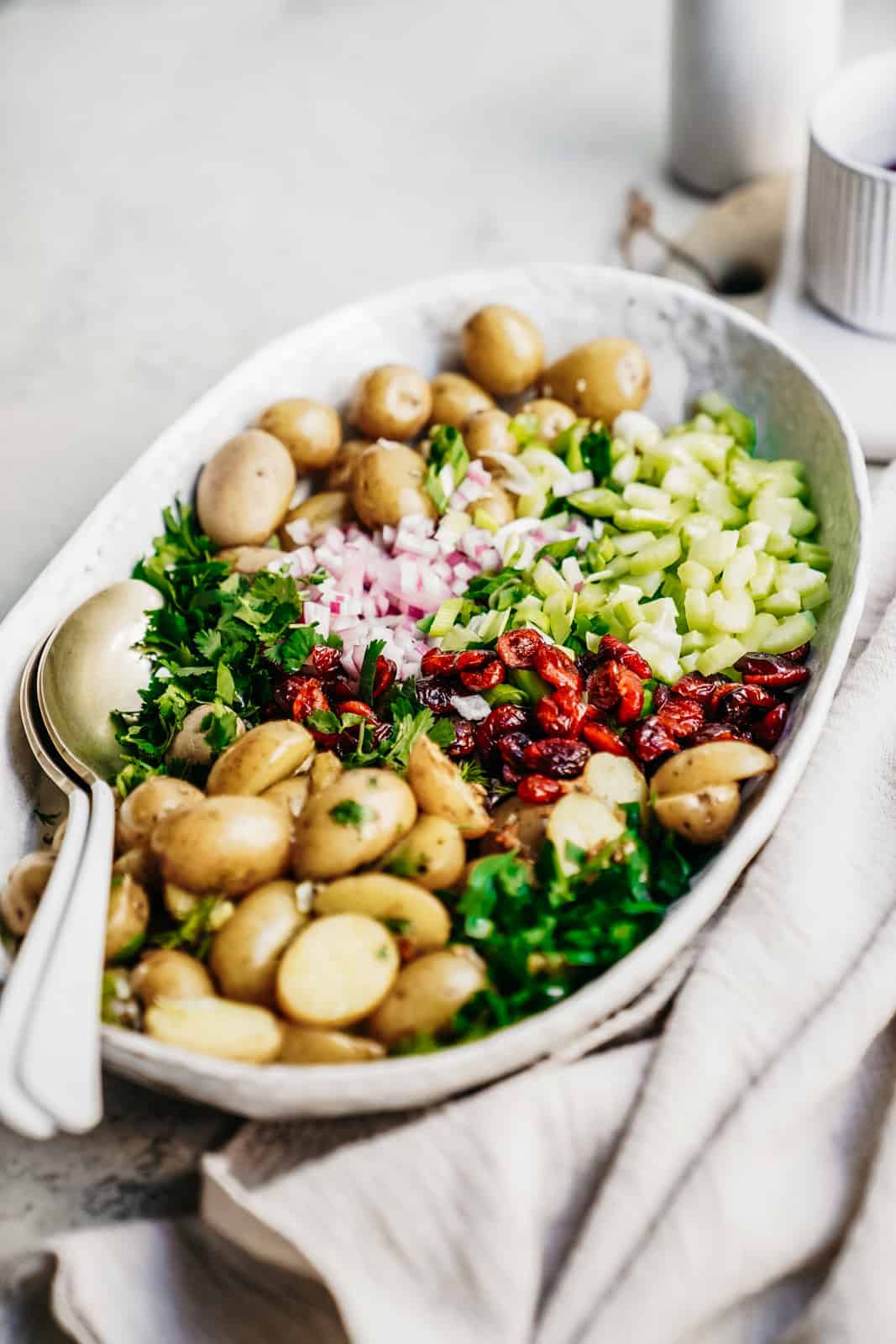 Big serving dish with beautiful and colourful Vegan Potato Salad Recipe ready to be served.