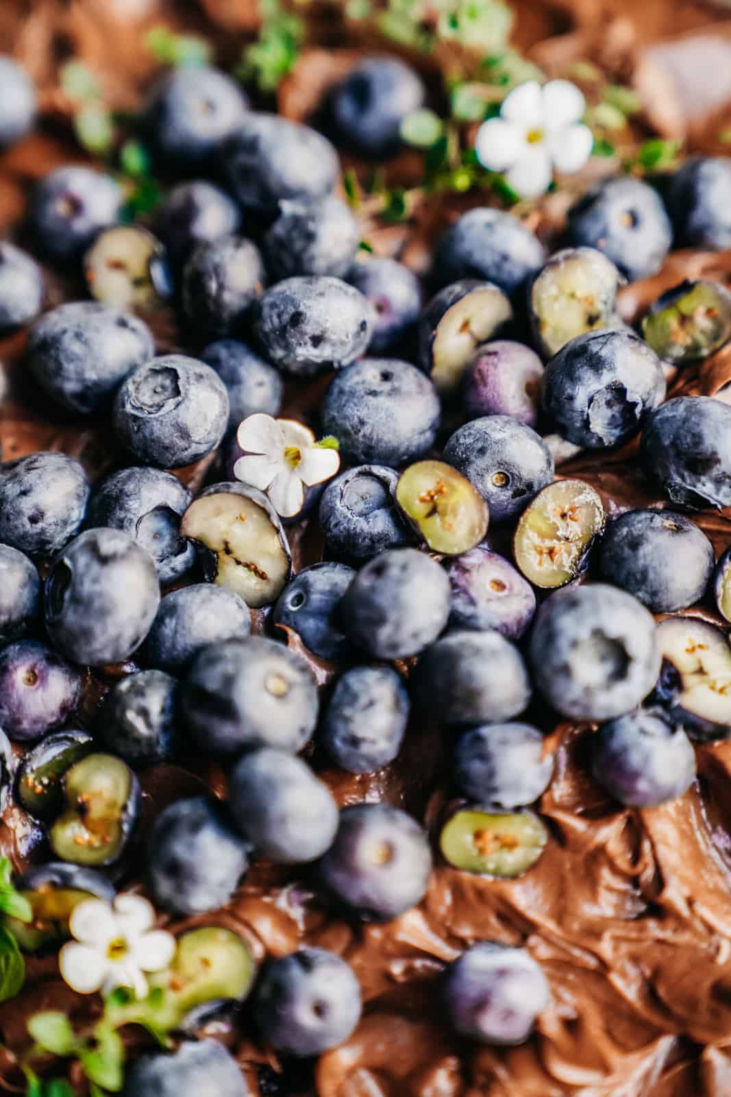 Close-up of fresh blueberries and flowers that top the vegan chocolate cake.