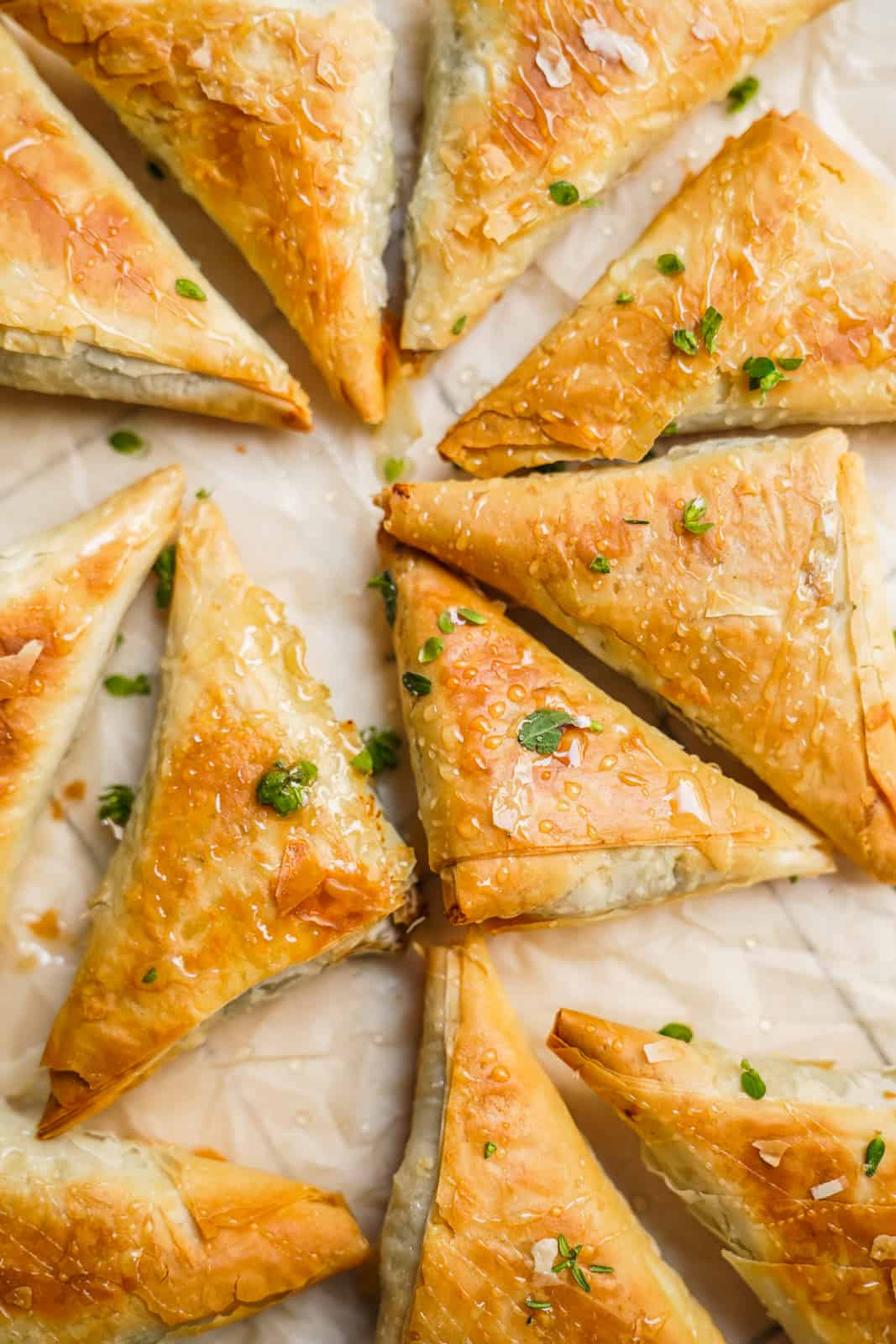 Scattered Mushroom pastry bites on counter top.