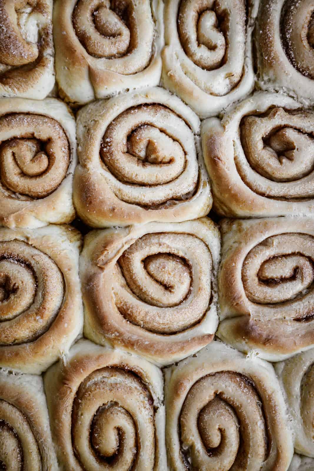 Cinnamon buns without icing.