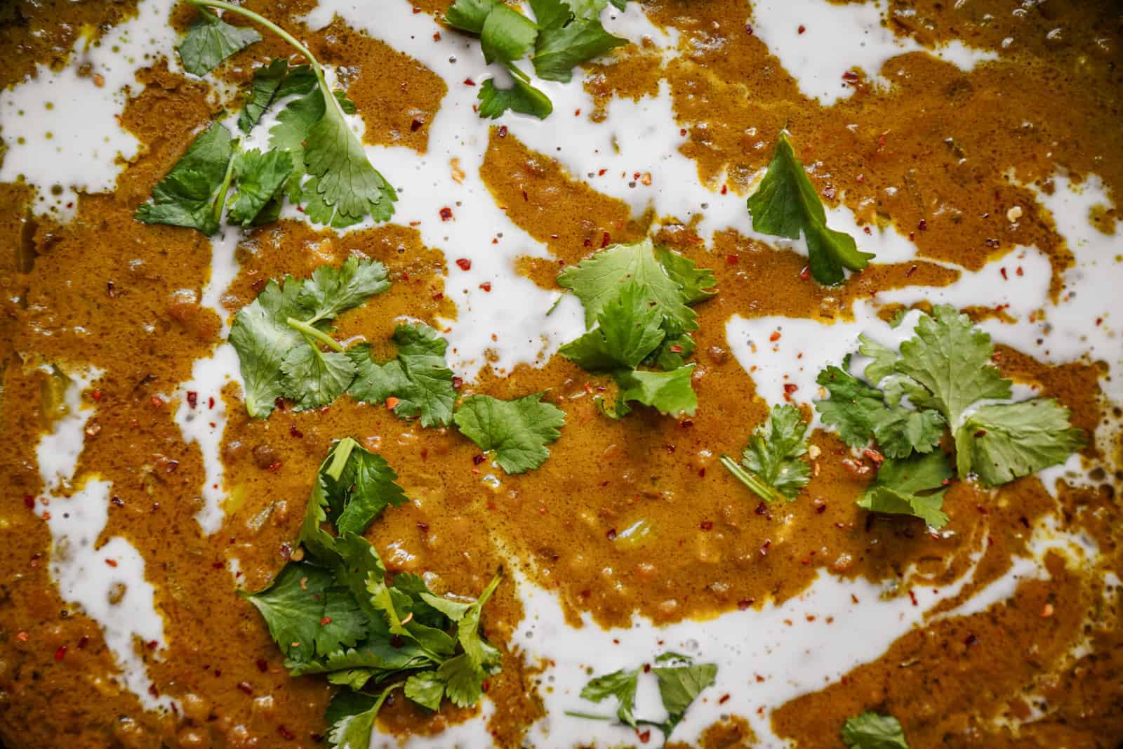 Close up of Lentil Curry Recipe with fresh herbs on top.
