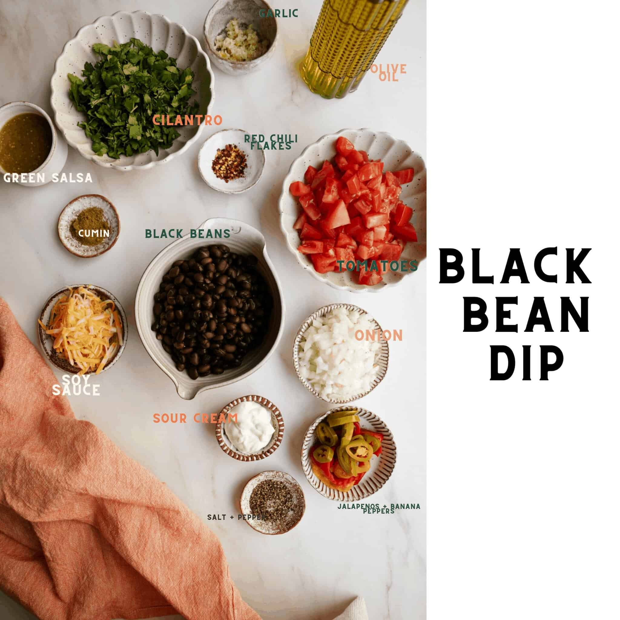Ingredients to make black bean dip recipe.