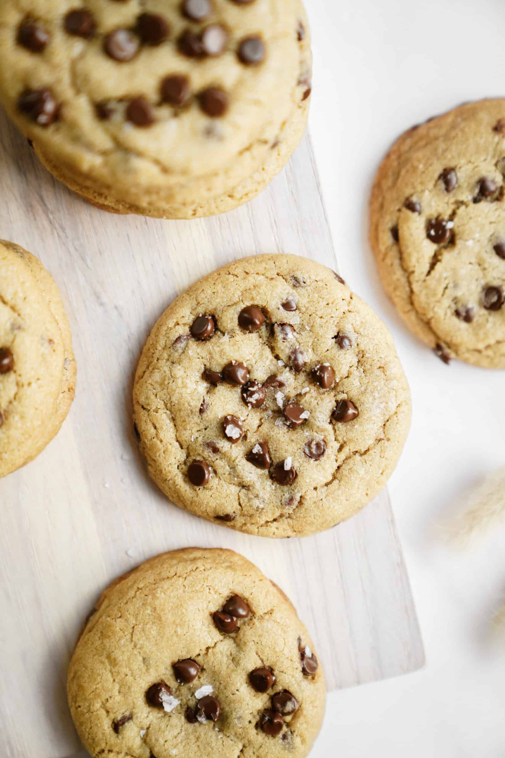 Homemade chocolate chip cookies on a counter