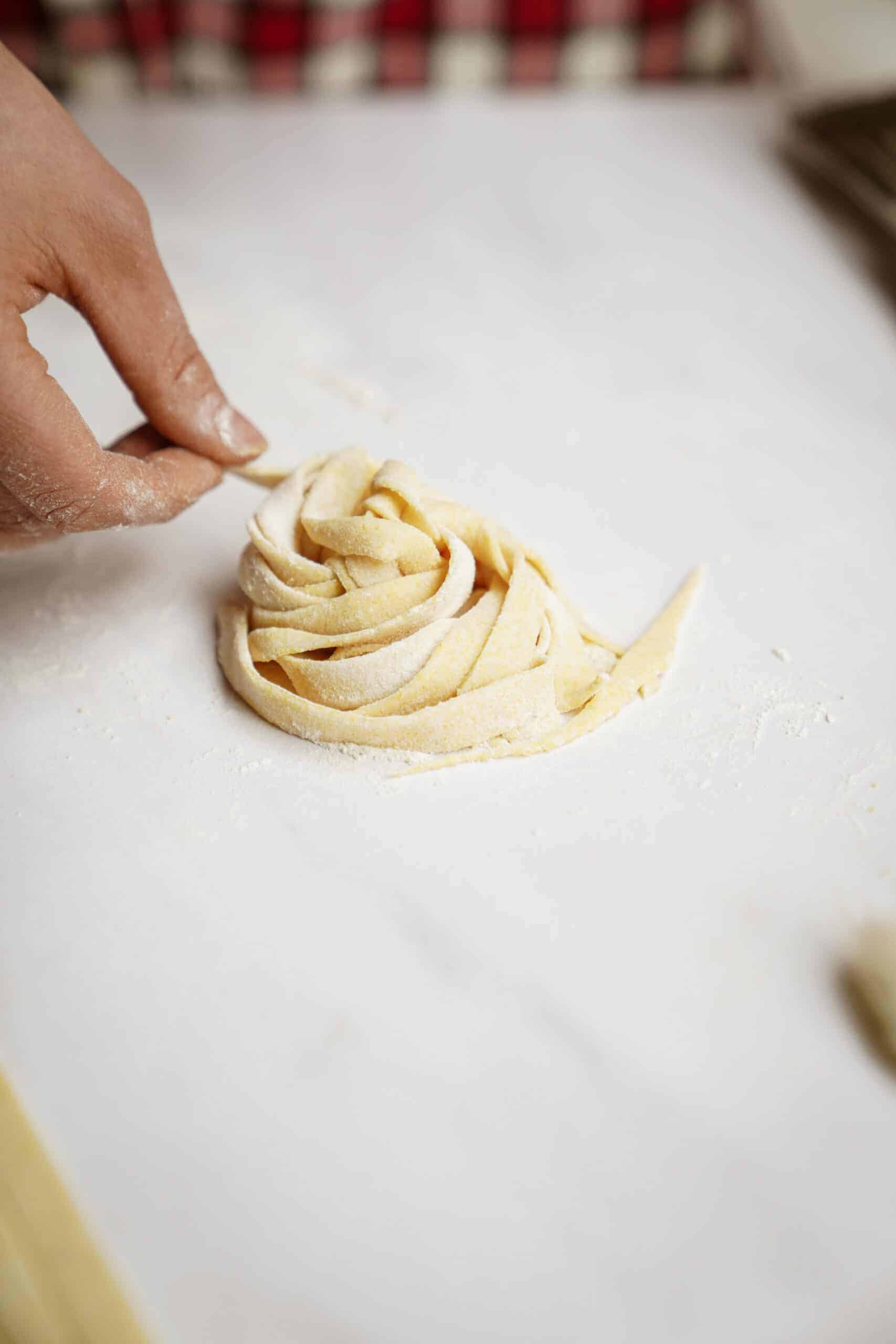 Nest of homemade pasta