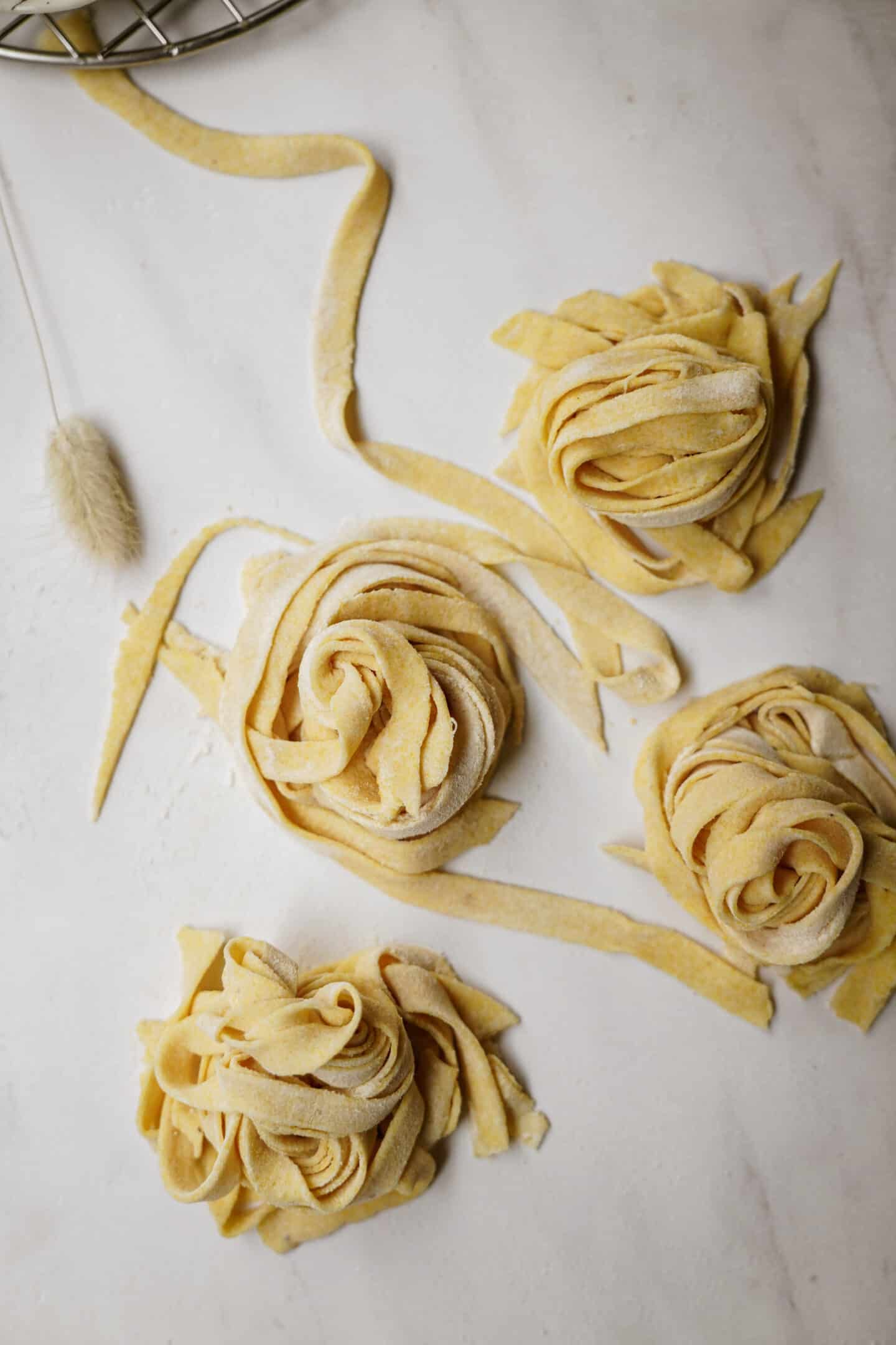 Four nests of uncooked, homemade fettuccine pasta rest on a white surface, with some loose strands scattered around them. A metal rack and a dried decorative plant are partially visible at the top—perfect for your next vegan pasta recipe.