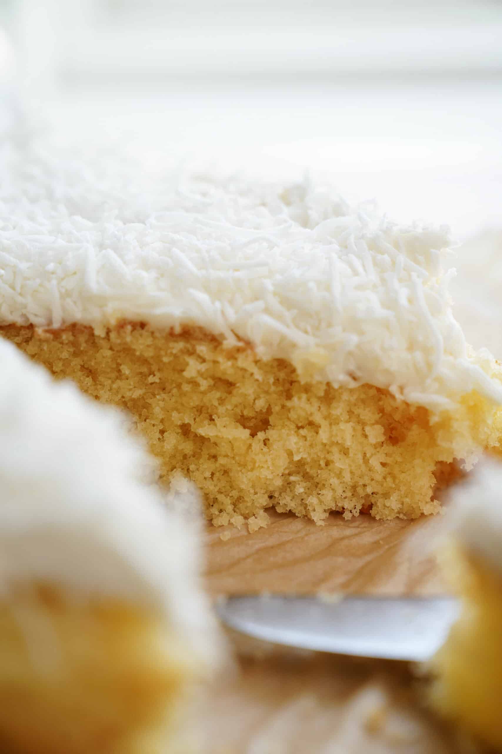 Close-up of vanilla cake with coconut on top