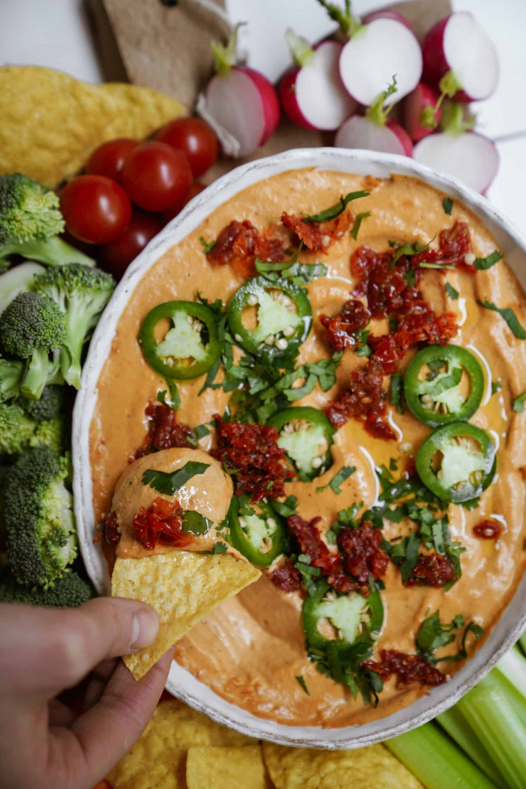 Dipping a chip into queso recipe 