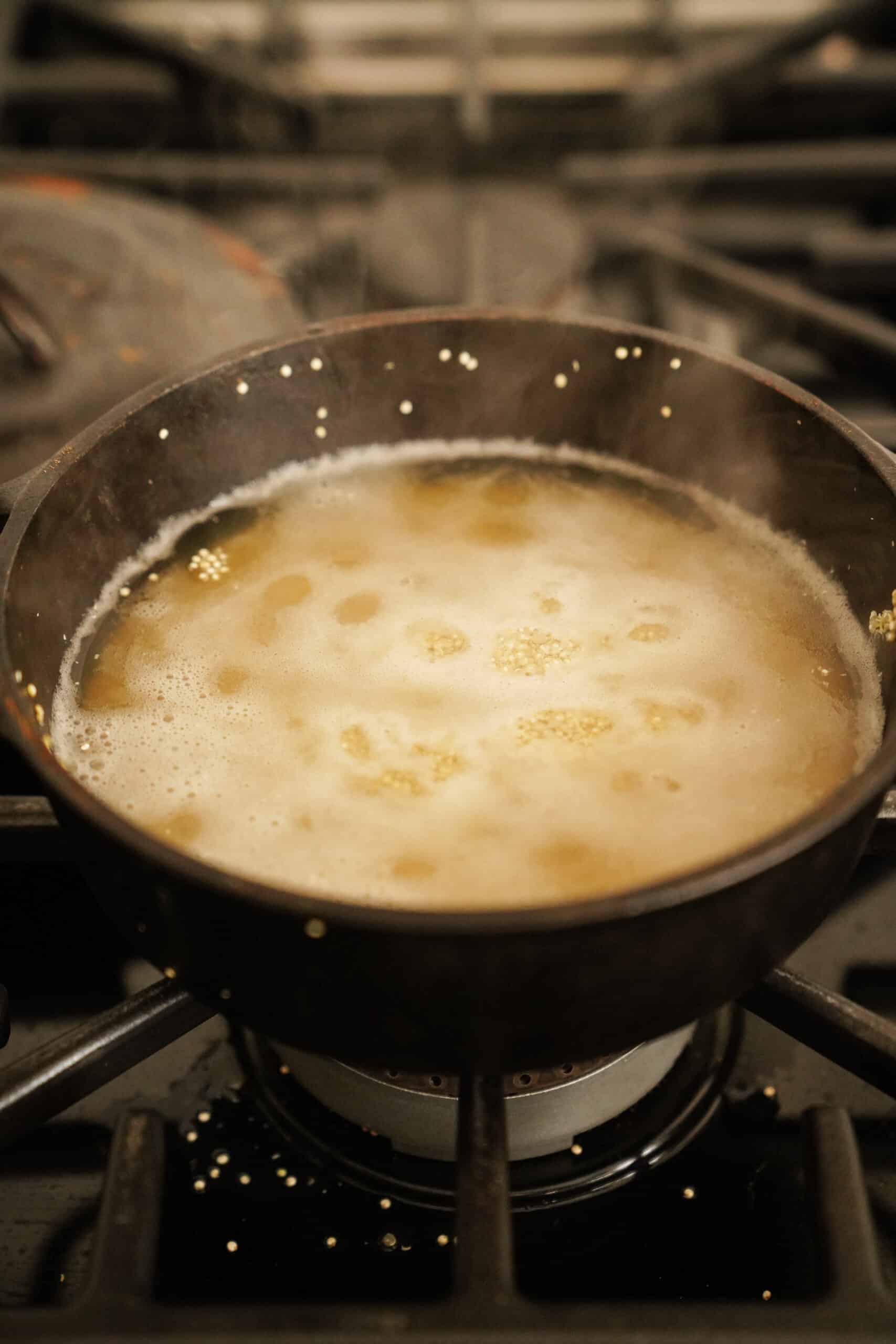 Pot of water and quinoa on the stove