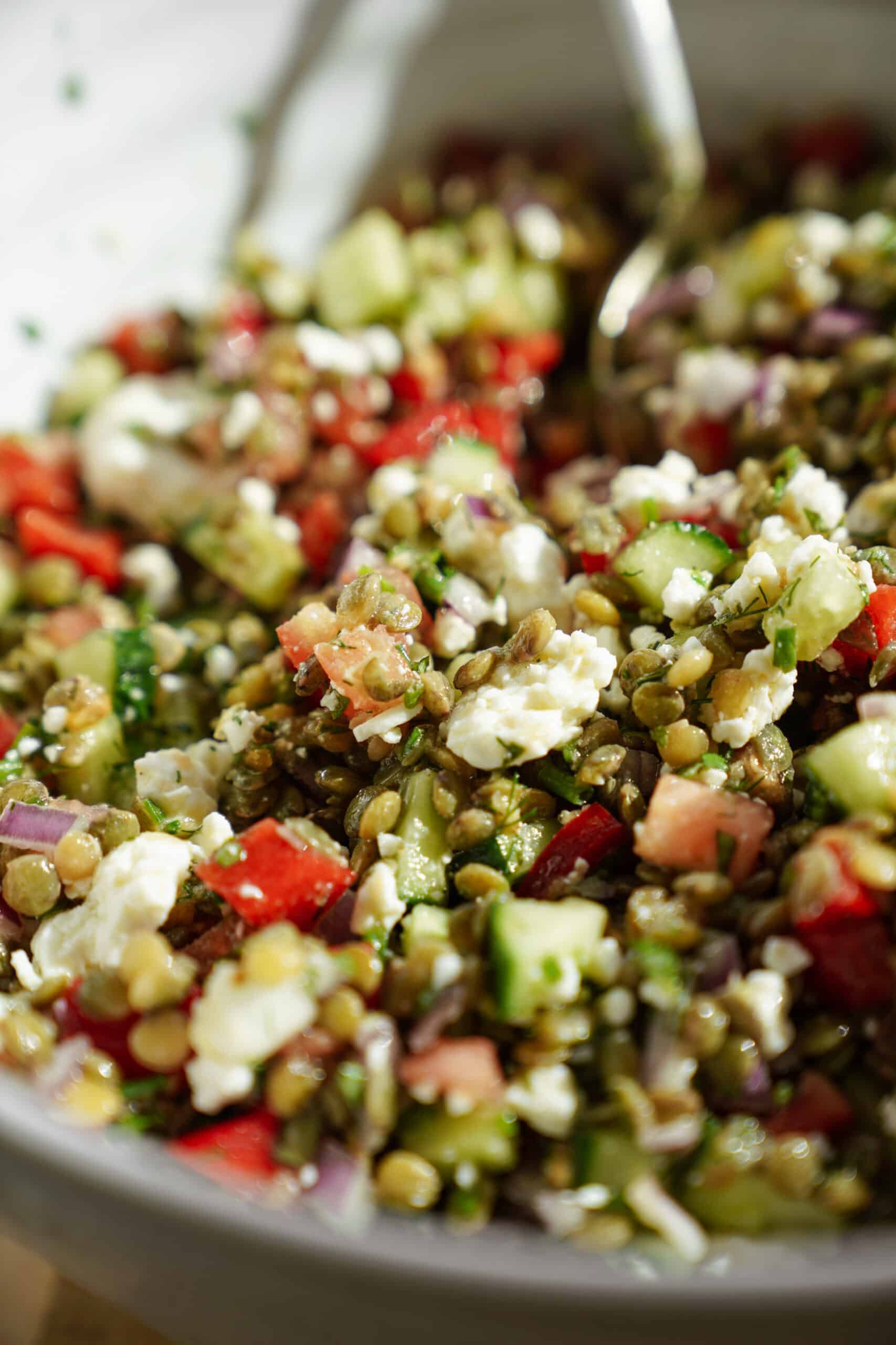 Close-up of bowl of lentil salad