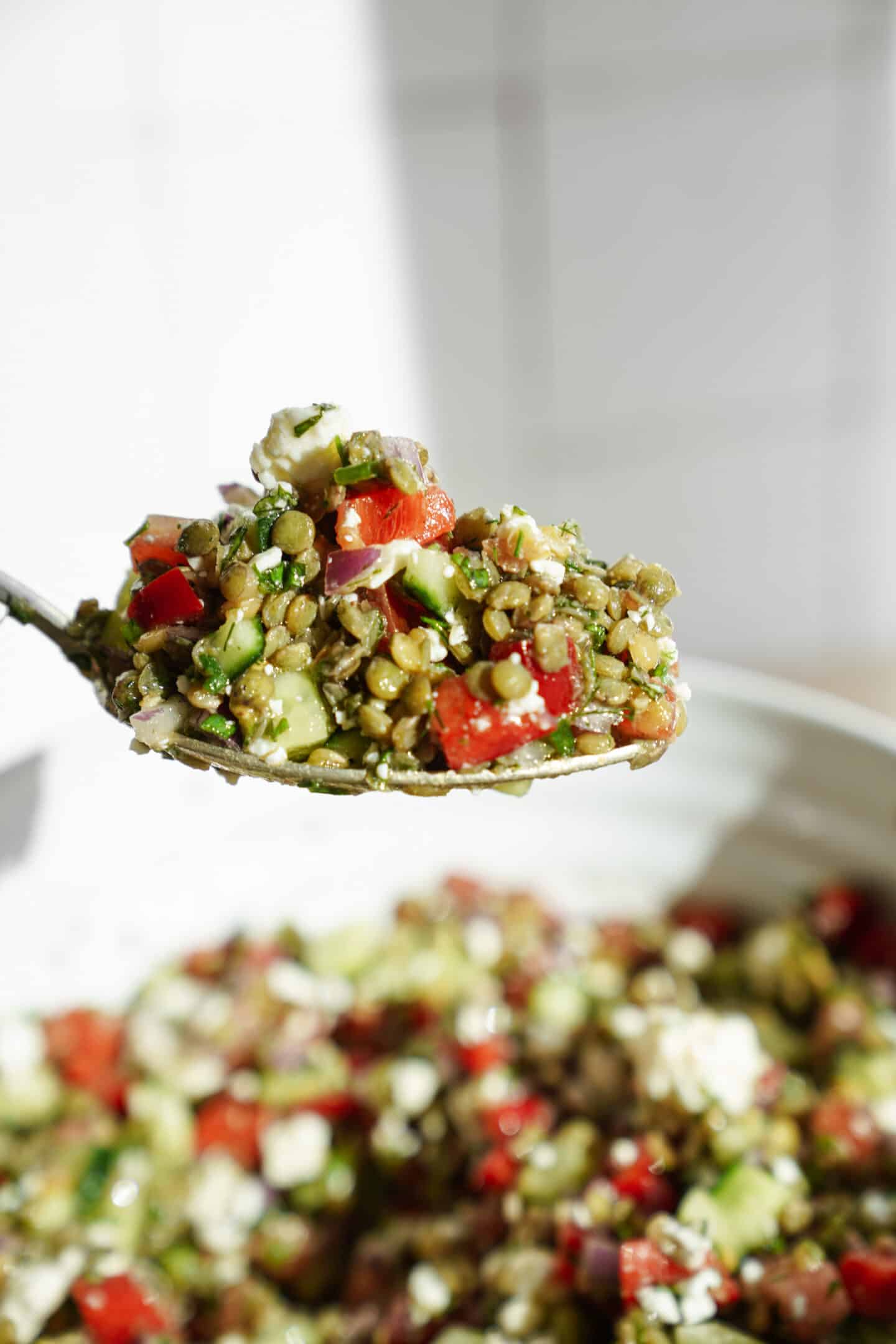 Spoon scooping lentil salad