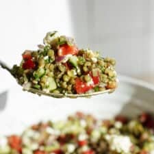 Spoon scooping lentil salad