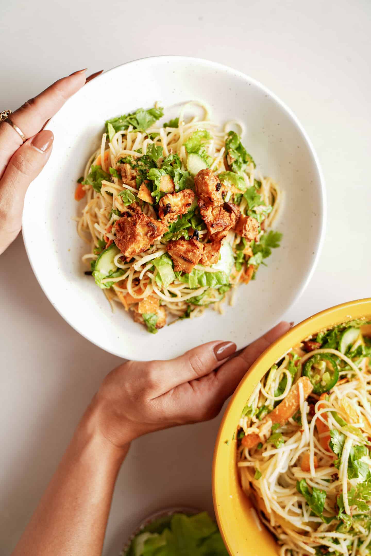 Vermicelli Bowl with hands on the bowl