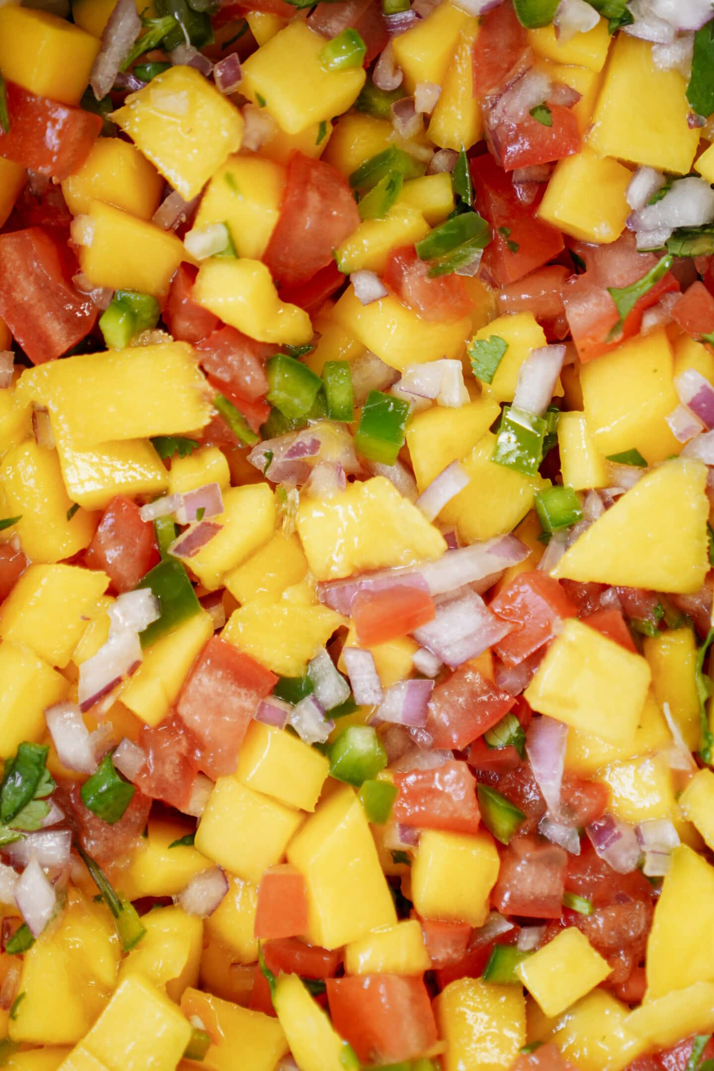 Mango Salsa | FoodByMaria Recipes