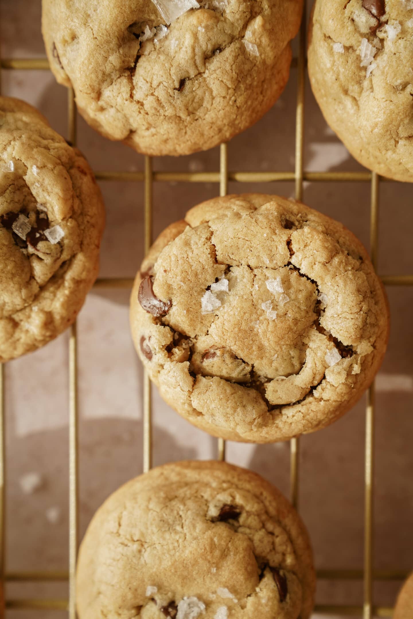 Vegan GF cookies