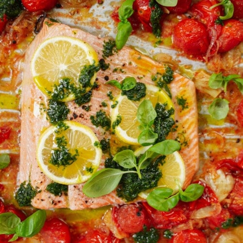 Oven baked fish surrounded by cherry tomatoes