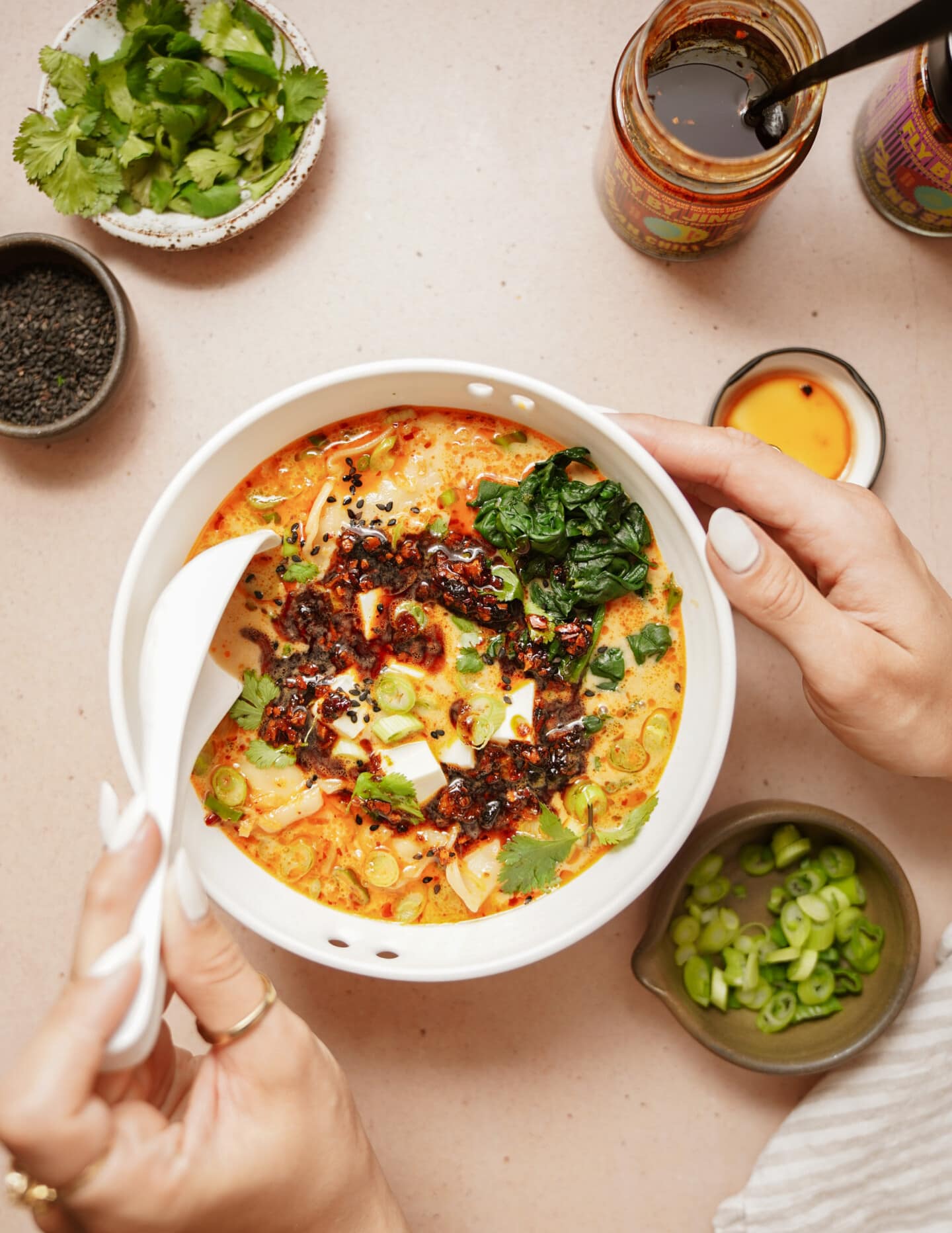 Potsticker soup