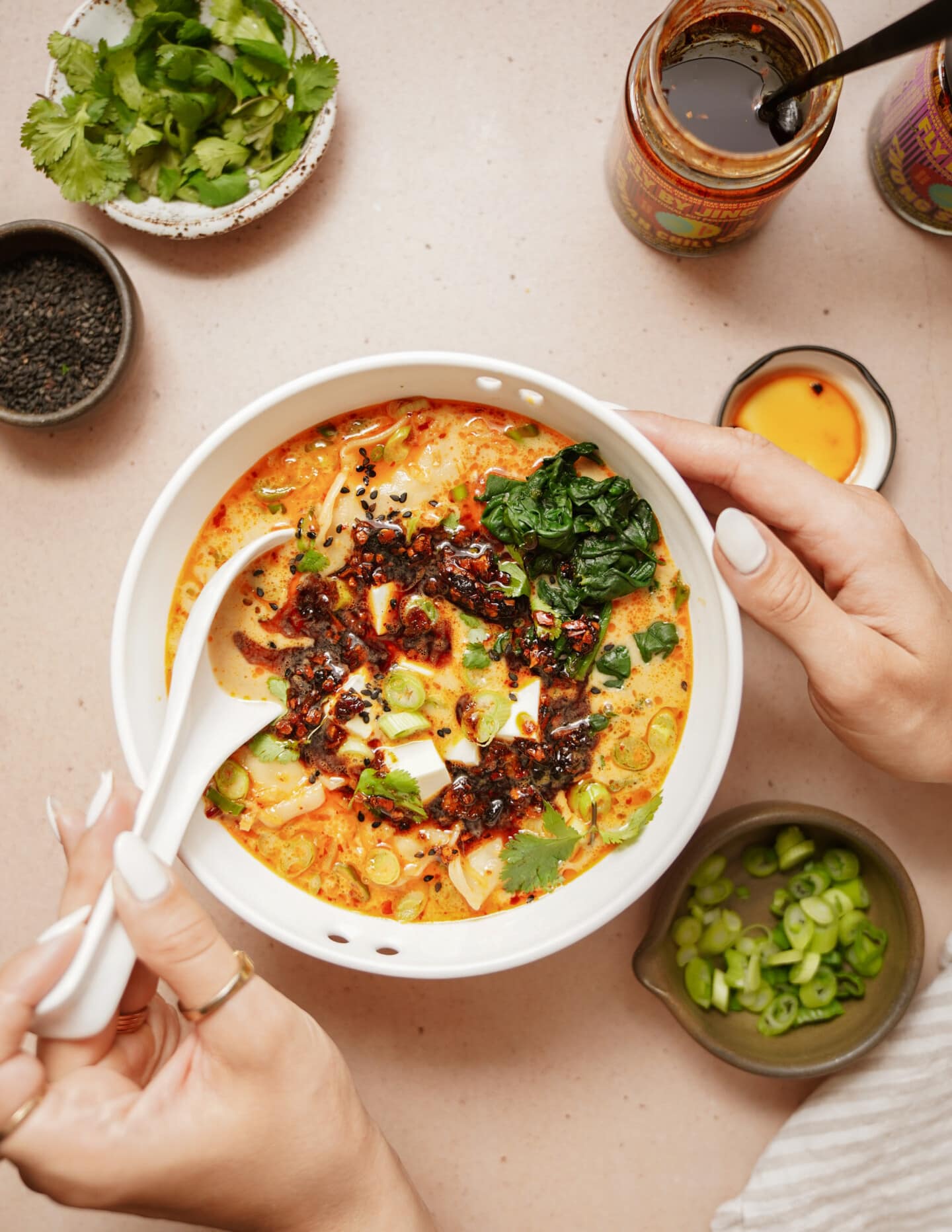 Potsticker soup