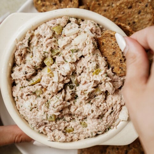 Tuna dip