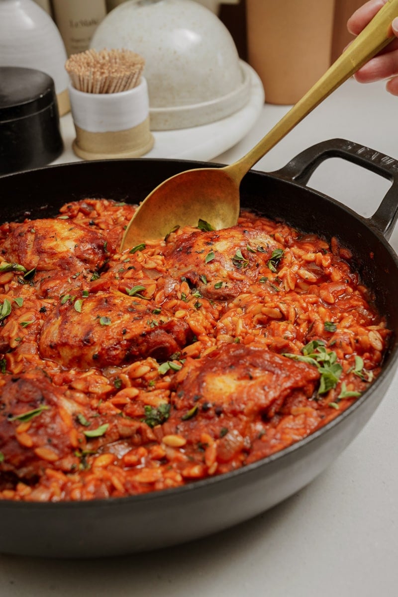 Chicken and orzo with a spoon in the dish