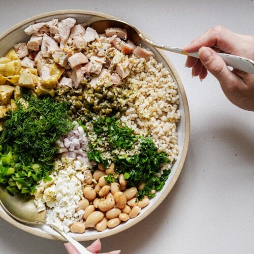 Healthy Chicken Salad Recipe 🍗🥗