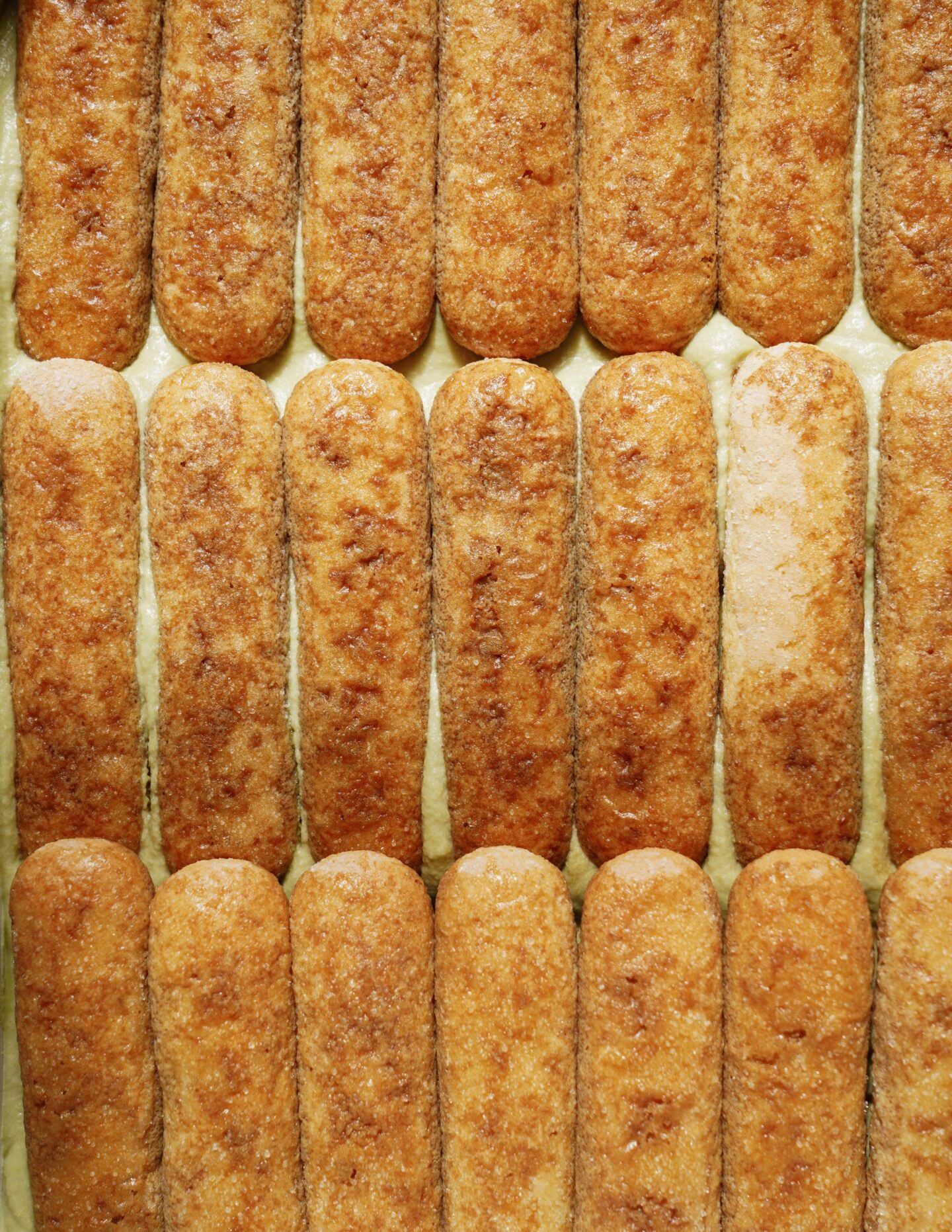 A close-up of neatly arranged ladyfinger biscuits in rows, seen from above. The biscuits are golden brown and slightly textured.
