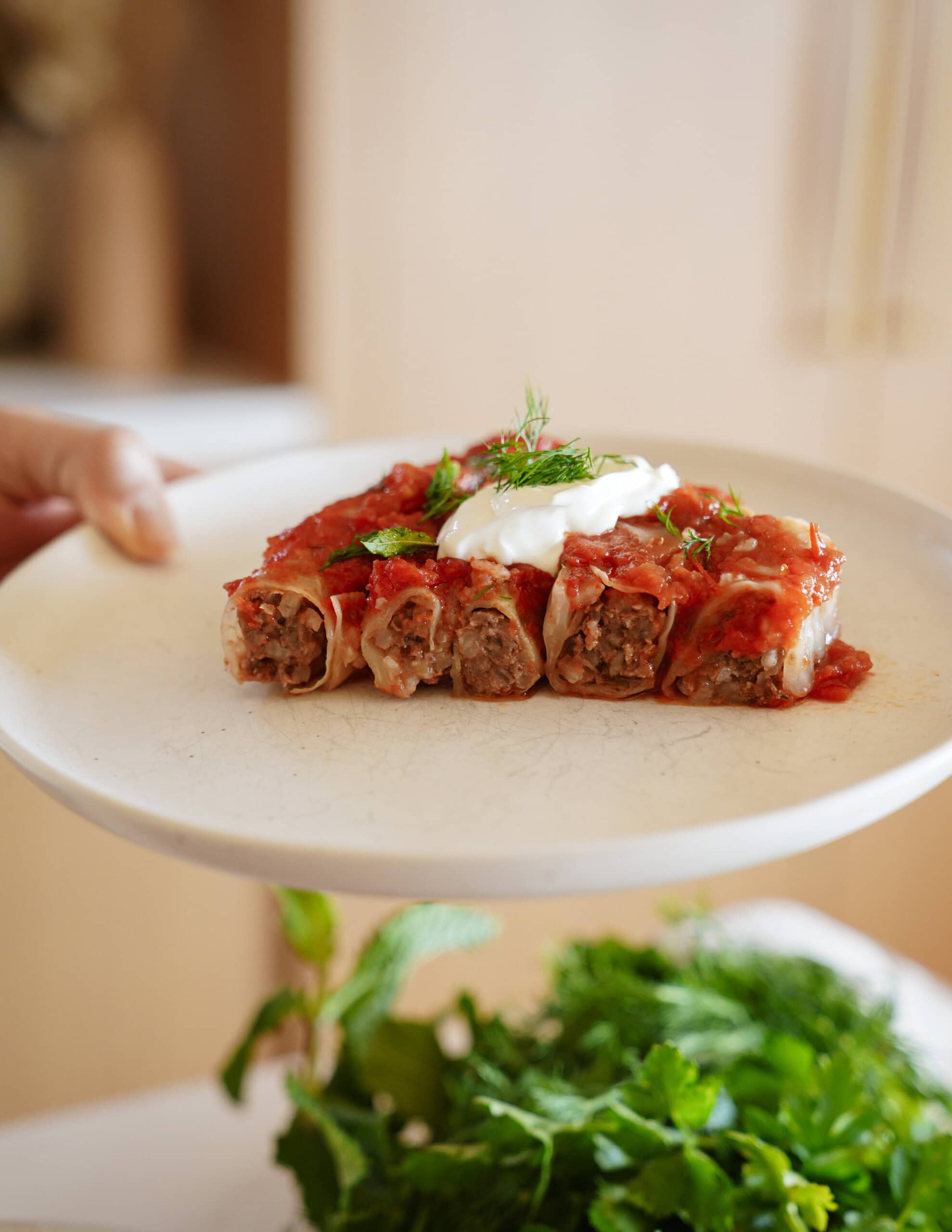 A plate of stuffed cabbage rolls filled with meat, topped with tomato sauce, a dollop of sour cream, and garnished with fresh dill, held over a background of fresh green herbs.