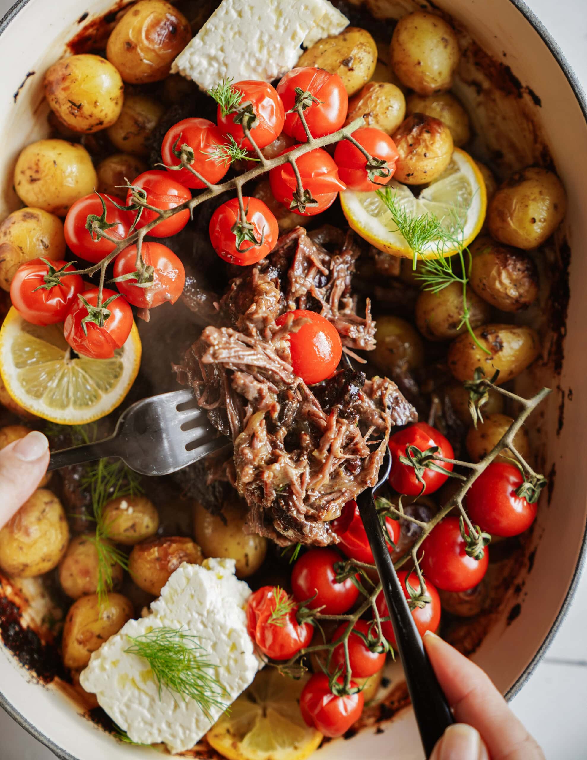 A pot filled with roasted baby potatoes, braised shredded beef, cherry tomatoes on the vine, lemon slices, and chunks of feta cheese, garnished with fresh dill. Two hands pull the beef apart with a fork and knife.