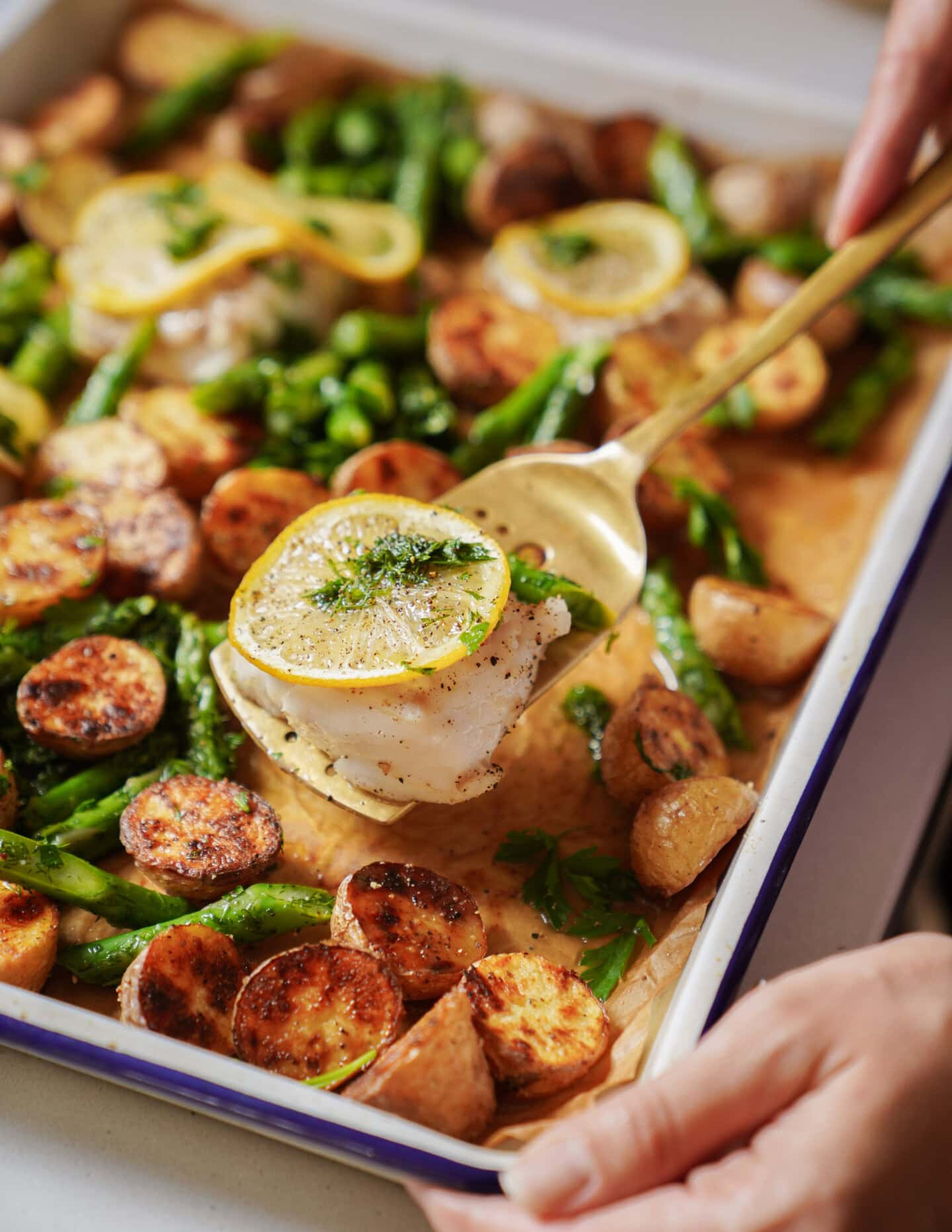 A hand serves a piece of baked white fish topped with a lemon slice from a tray filled with roasted potatoes, asparagus, and herbs.