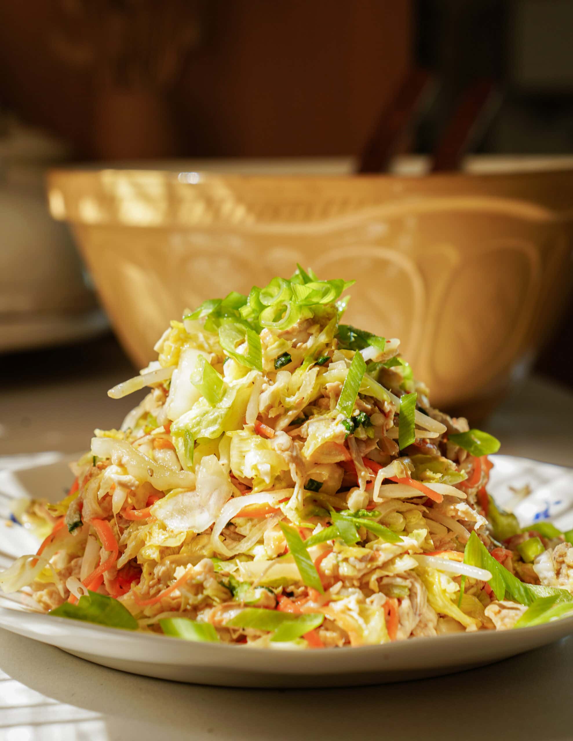 A plate of shredded chicken salad mixed with cabbage, carrots, and green onions sits in sunlight, with a large mixing bowl blurred in the background.