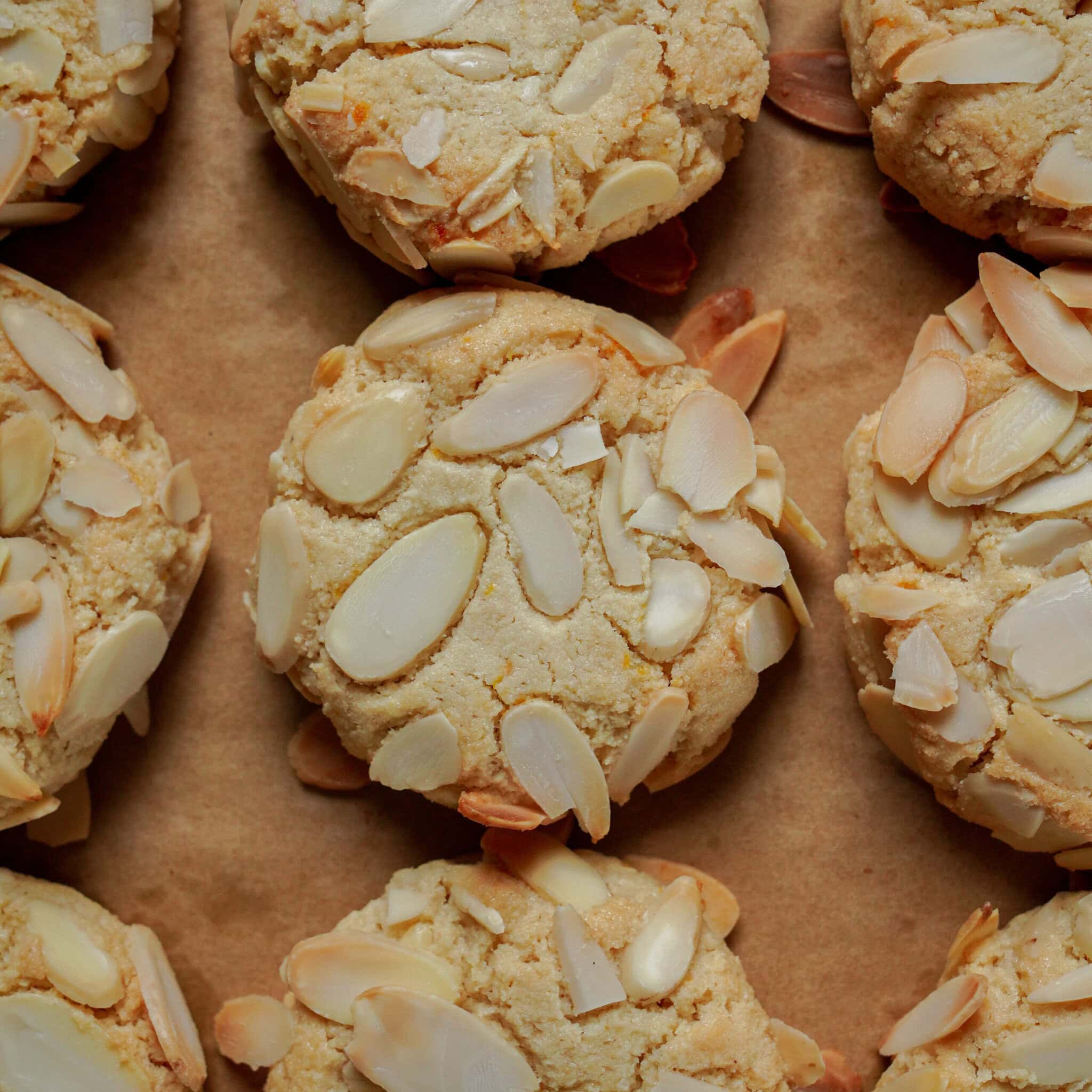 Top-down view of several round, golden almond cookies on parchment paper.