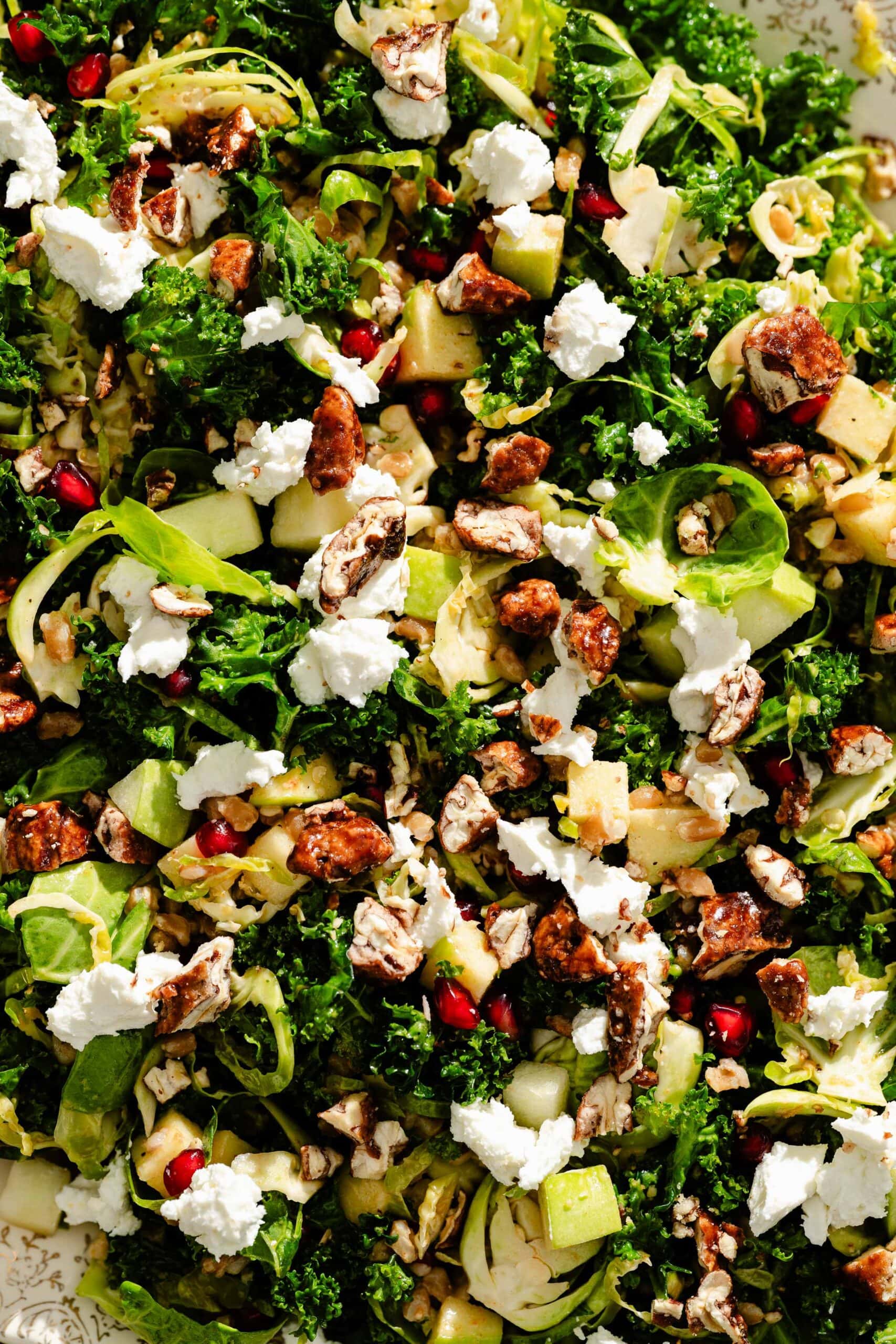 A salad of kale, shaved Brussels sprouts, apples, pomegranate seeds, goat cheese, and candied nuts.